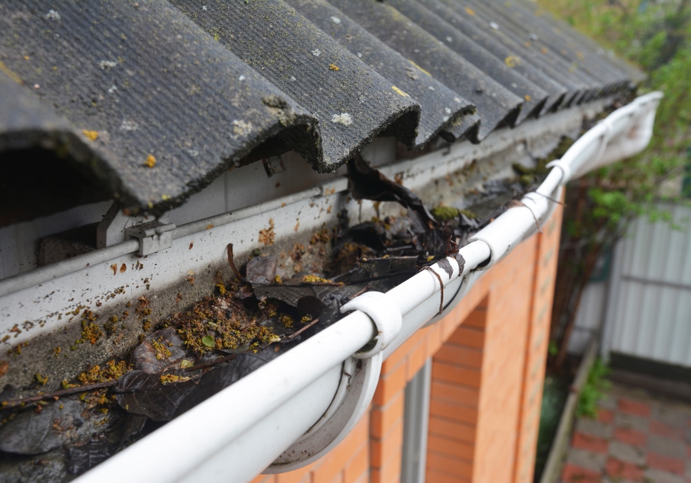 gutter cleaning frequency